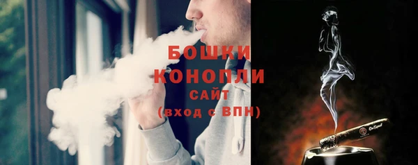 мдпв Бронницы