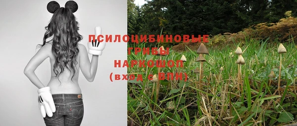мдпв Бронницы