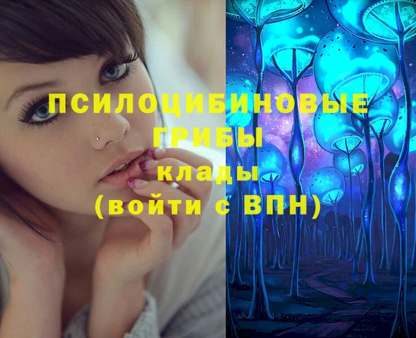 ПСИЛОЦИБИНОВЫЕ ГРИБЫ Верхний Тагил